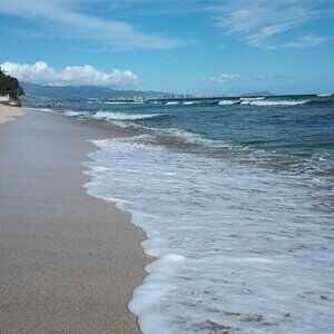 Meet your Posher, Lorna